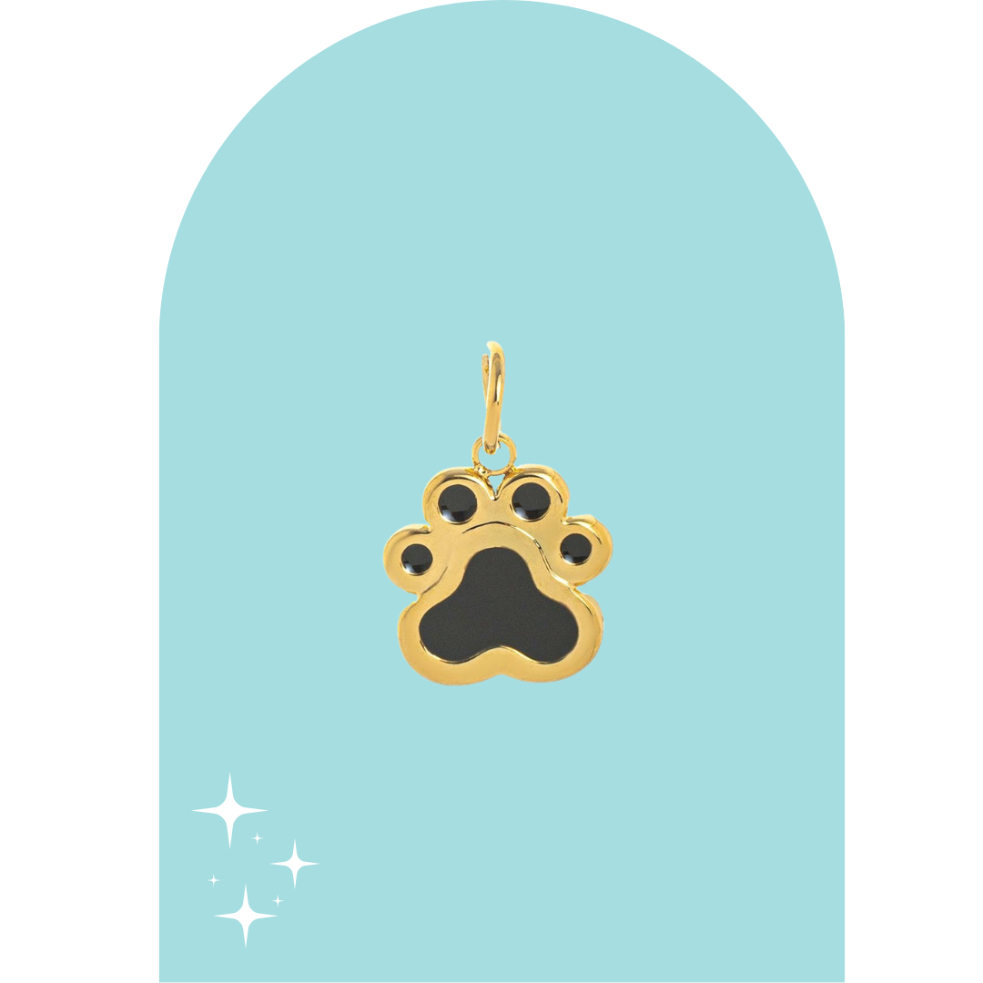 Stainless Steel Apolo Charm