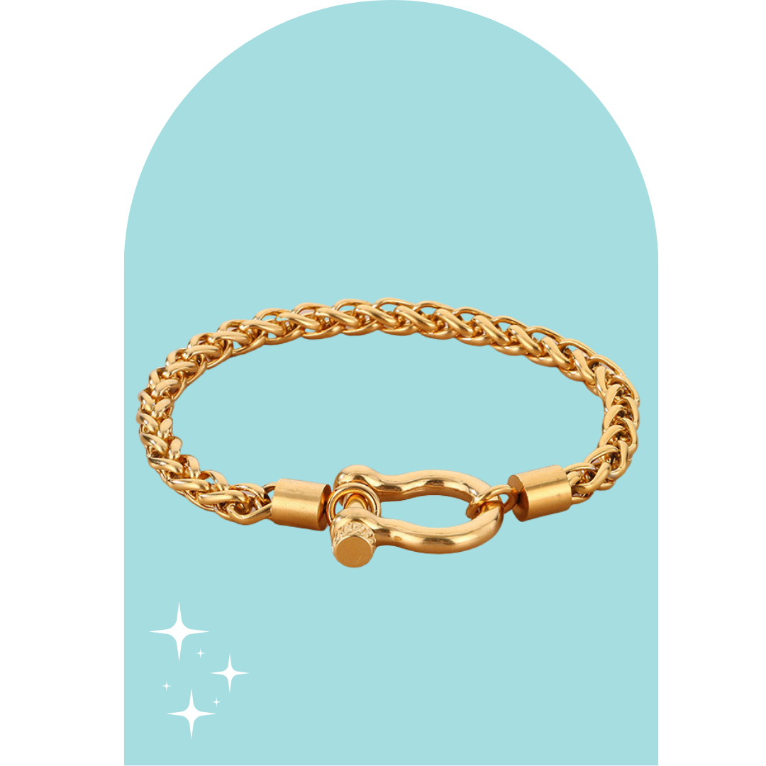 Stainless Steel Kai Bracelet