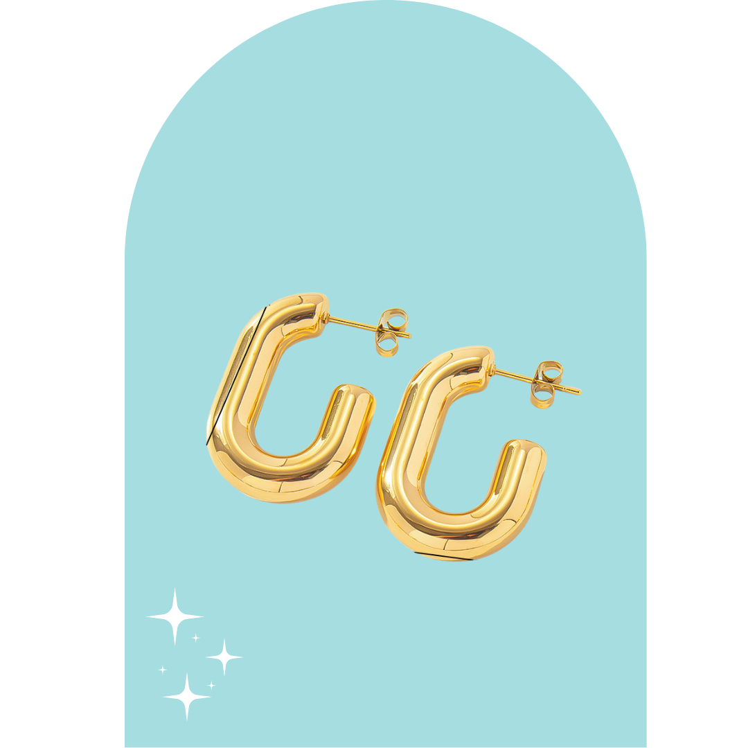 Stainless Steel Oval Hoops