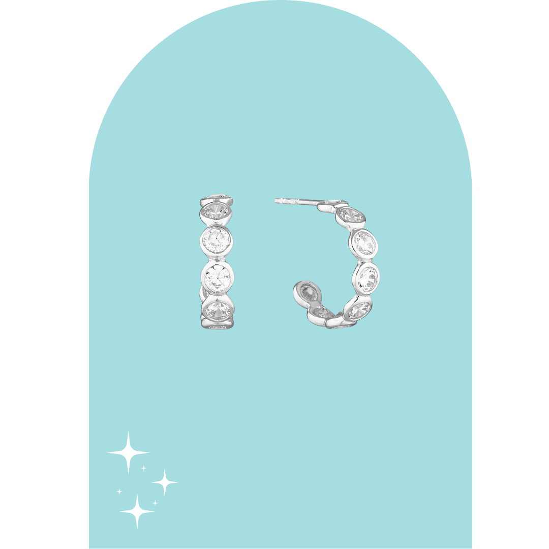 Stainless Steel Carola Earrings