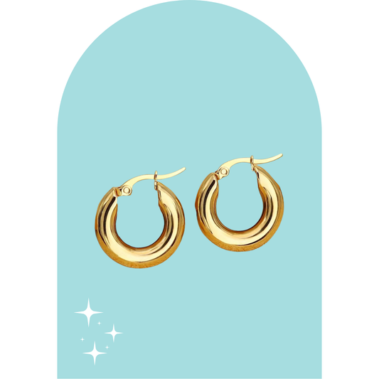 Stainless Steel Cori Hoops