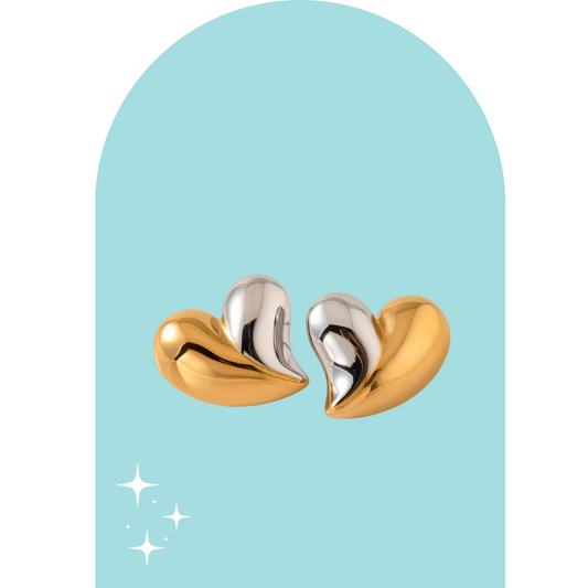 Stainless Steel Two Tone Earrings