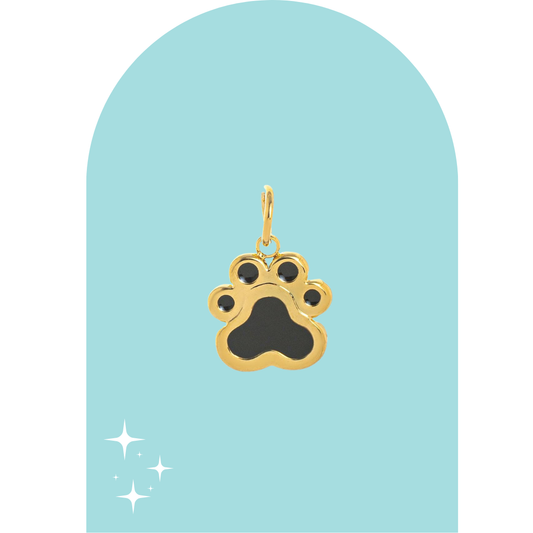 Stainless Steel Apolo Charm