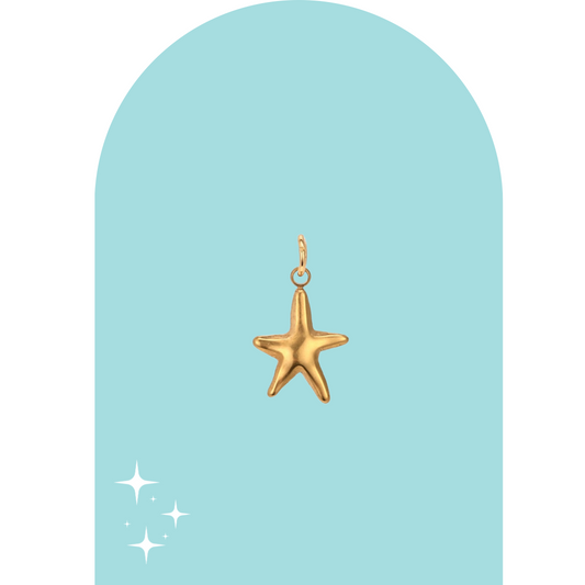 Stainless Steel Estrella de Mar Charm