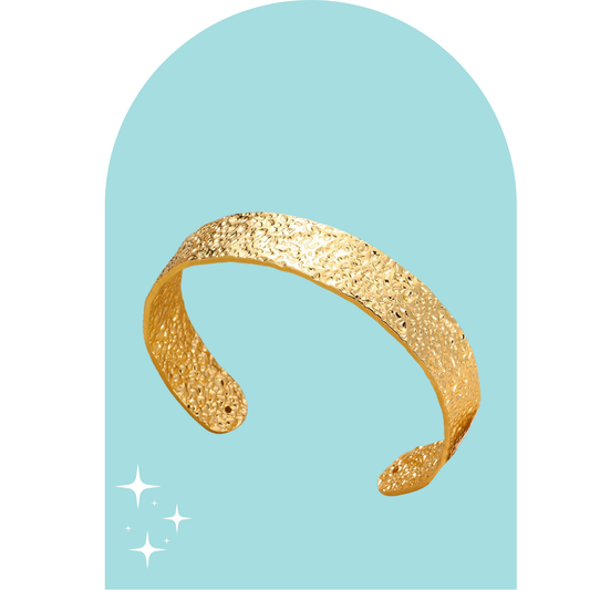 Stainless Steel Karina Bangle