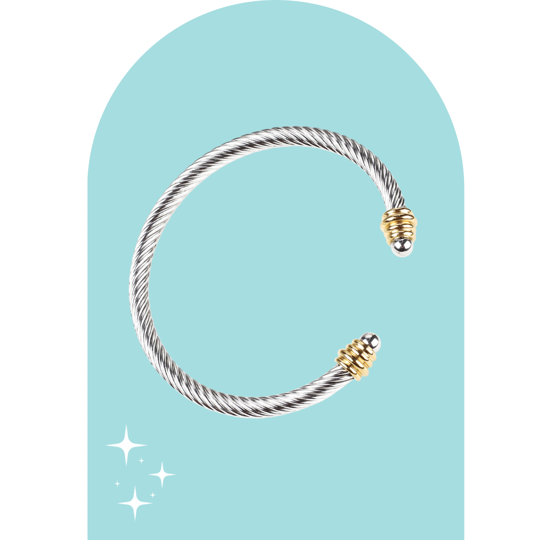 Stainless Steel Two Tone Bangles